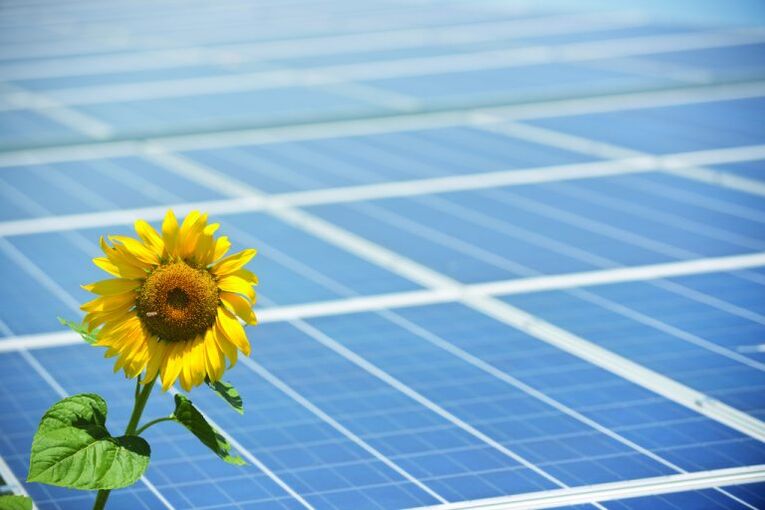 napraforgó és napelemek az energiatakarékosság érdekében